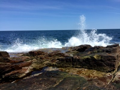 Bar harbor, United states, National park photo