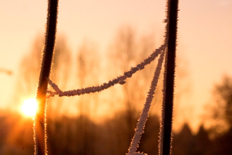 Destelbergen, Belgium, Sunrise