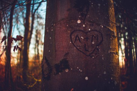 A+M carved on tree