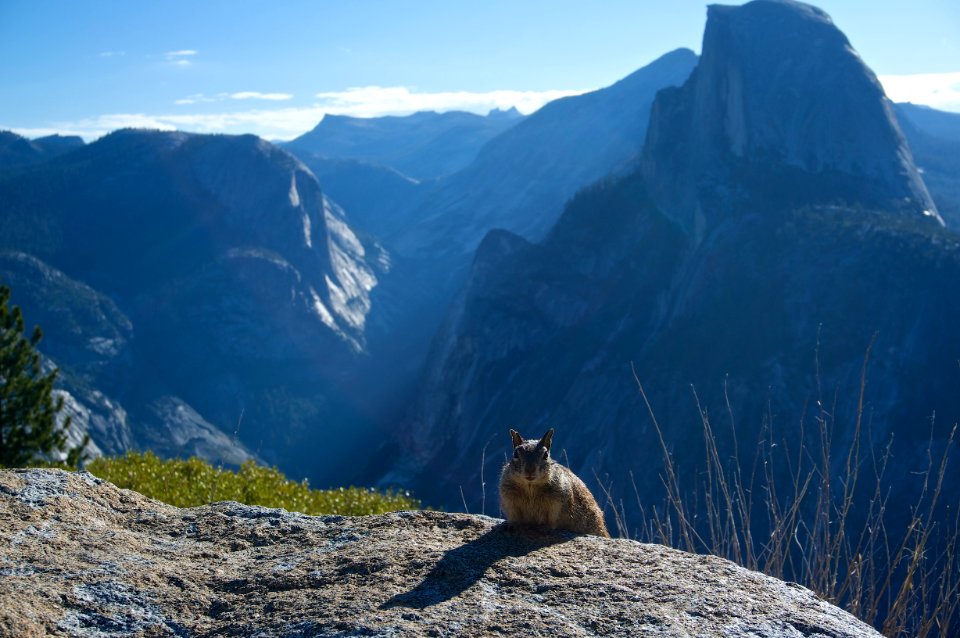 Glacier point, Yosemite valley, United states photo