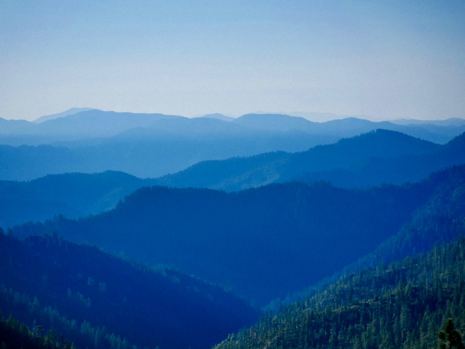green trees on mountains during daytime