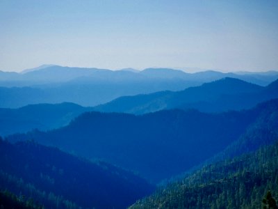 green trees on mountains during daytime