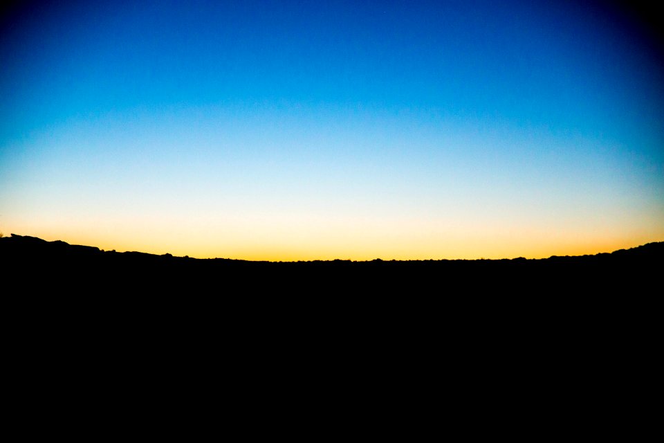 silhouette photo of forests during golden hour