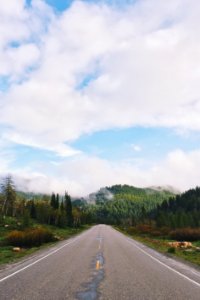 brown concrete road surrounded with trees under cloudy sky during daytime