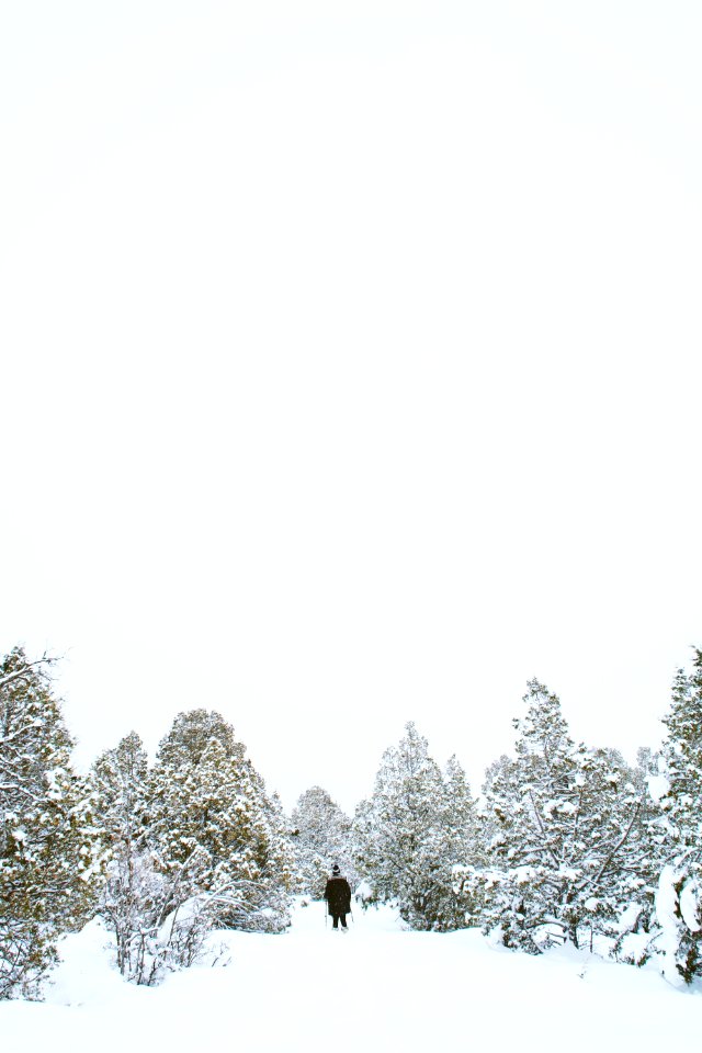 person wearing black jacket standing beside tree during winter season