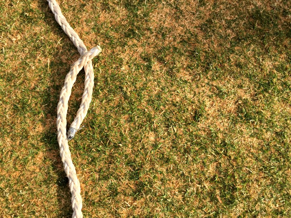 White, Ground, Green