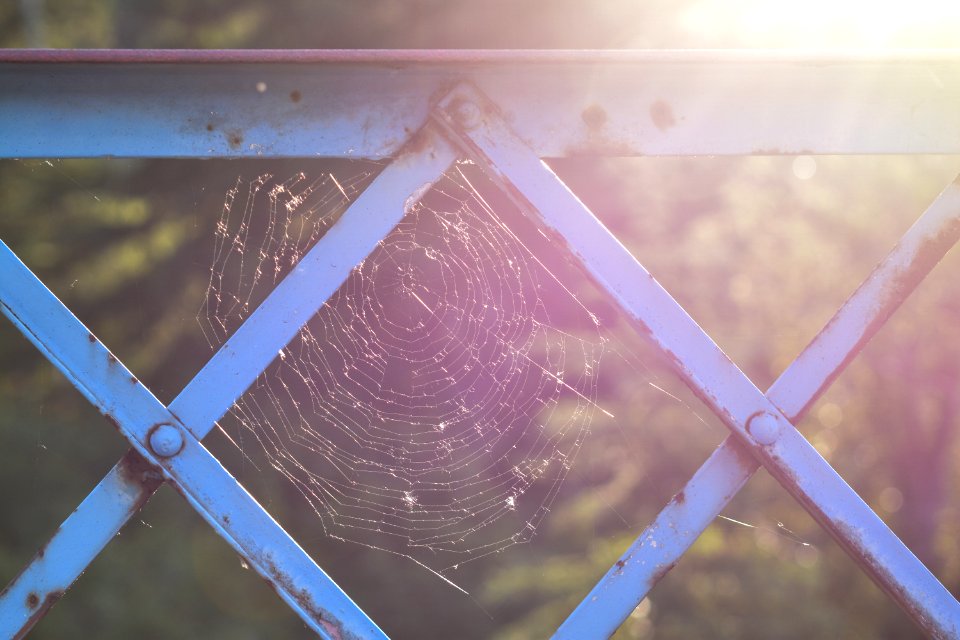 Bridge, Web, Frame