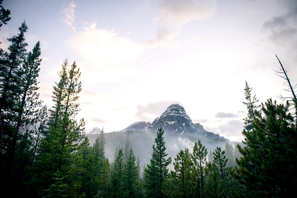 Chephren lake, Canada, Nature