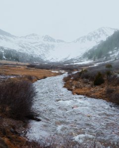 Snow, River, Trees photo