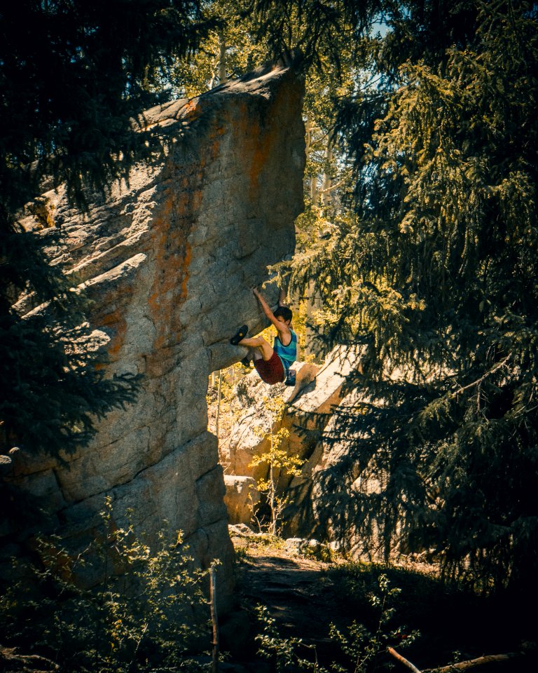 Climbing, Forest, Trees