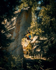 Climbing, Forest, Trees