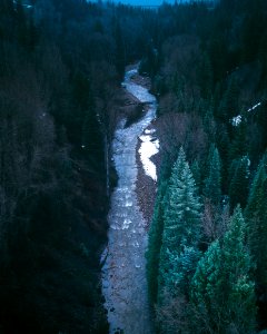 body of water surrounded by trees photo