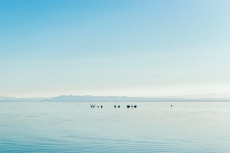Salton sea, United states, Calm photo