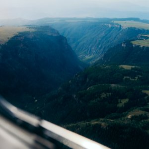Flight, Plane, Forest