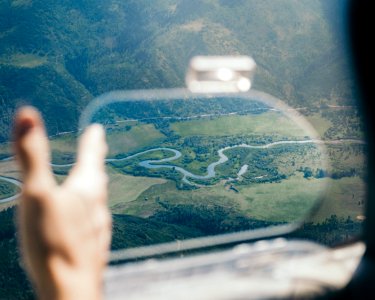 Flight, Plane, Forest