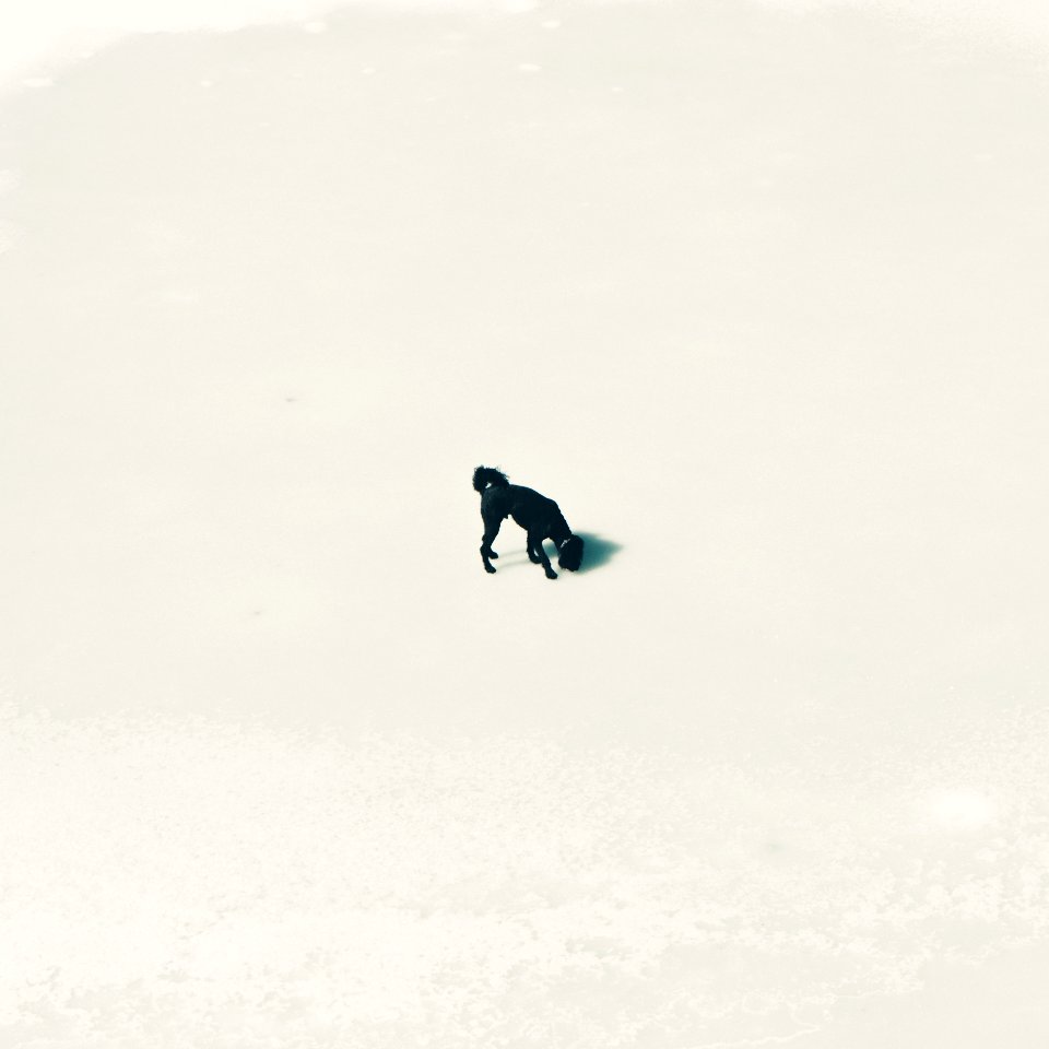 Winter, Cold, Ice