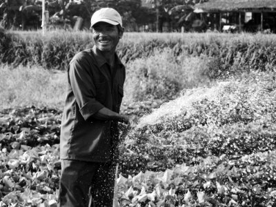 Vietnam, Smile, Agriculture