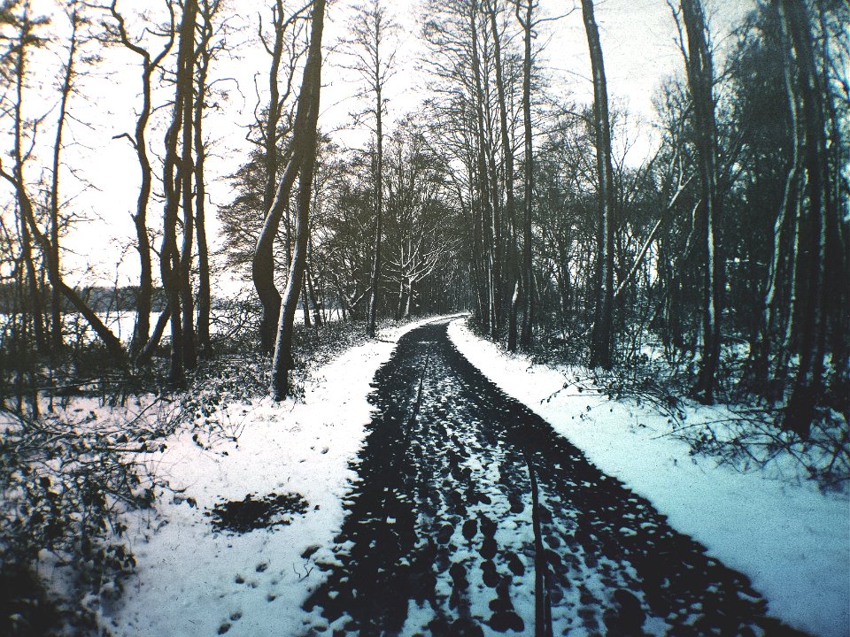 Zwiggelte, Drenthe, Netherl