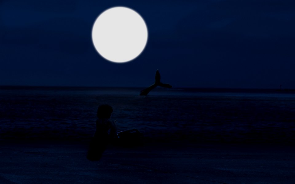 Full moon, Bright moon, Dark