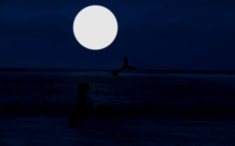 Full moon, Bright moon, Dark