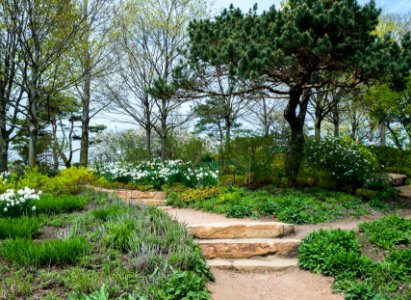 Green, White, Steps