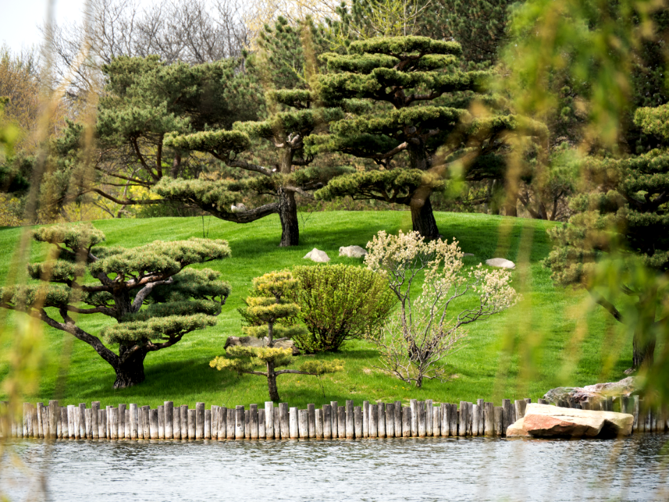 Garden, Blur, Vintage look