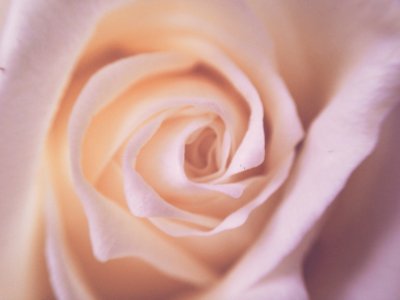 Clean, Bright, Pink