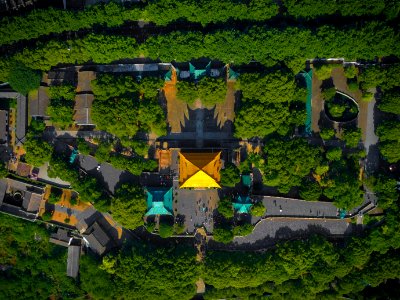 yellow house surrounded by trees