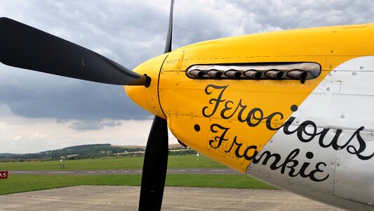 Warbird aircraft p-51
