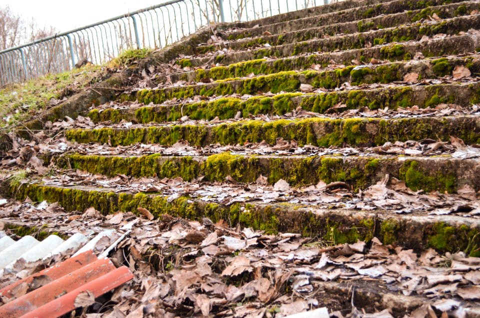 Croatia, Nature, Staircase