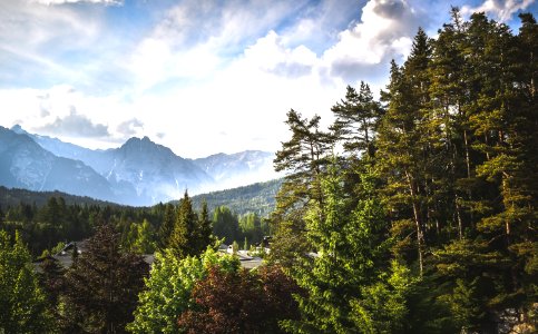 Seefeld, Austria, Green photo