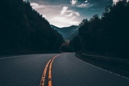 gray concrete road between trees photo