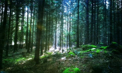 Rudkov, Czech republic, Sunlight