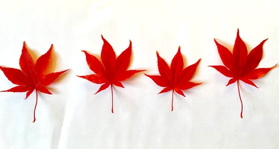 Montreal, Canada, Fall