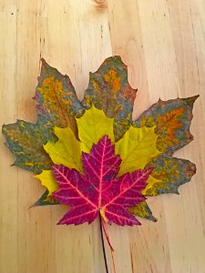 Montreal, Canada, Nature