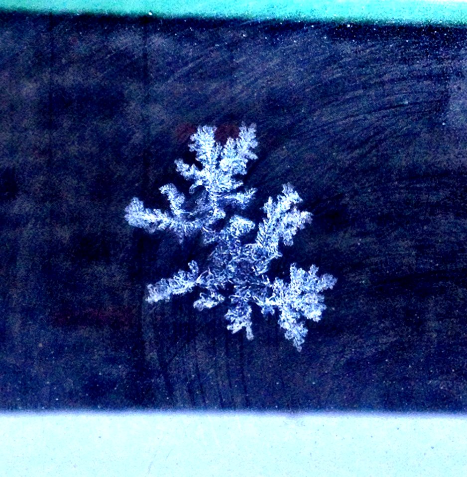 Montreal, Canada, Snow