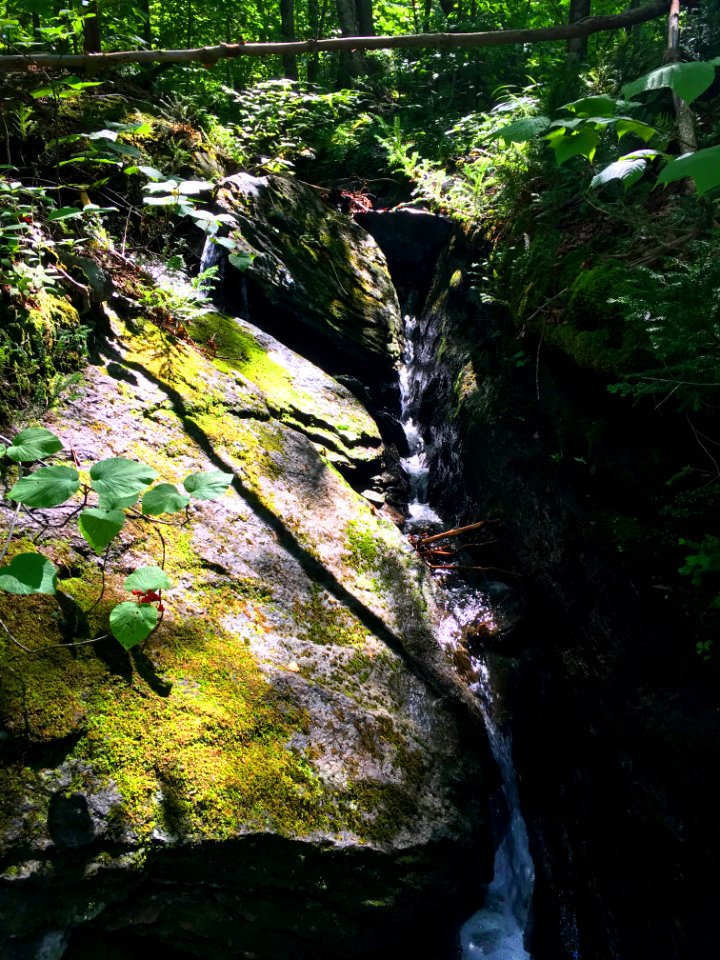 Sutton, Canada, Water
