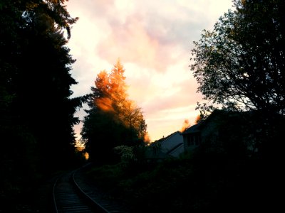 Sherwood, United states, Tracks