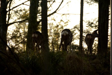 Center parcs longleat forest, Warminster, United kingdom