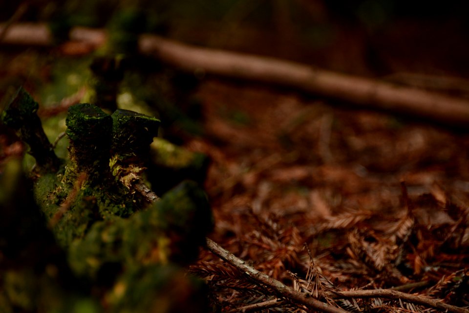 Center parcs longleat forest, Warminster, United kingdom