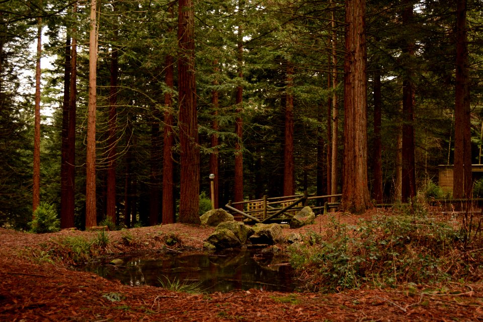 Center parcs longleat forest, Warminster, United kingdom
