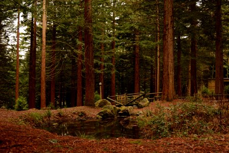 Center parcs longleat forest, Warminster, United kingdom