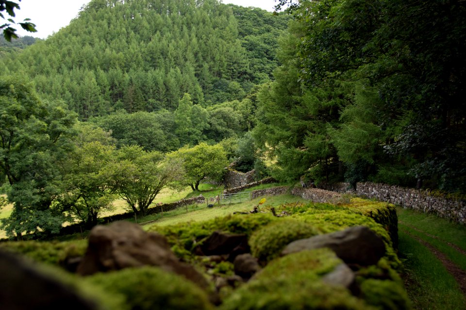 Wales, United kingdom, Welshmountains