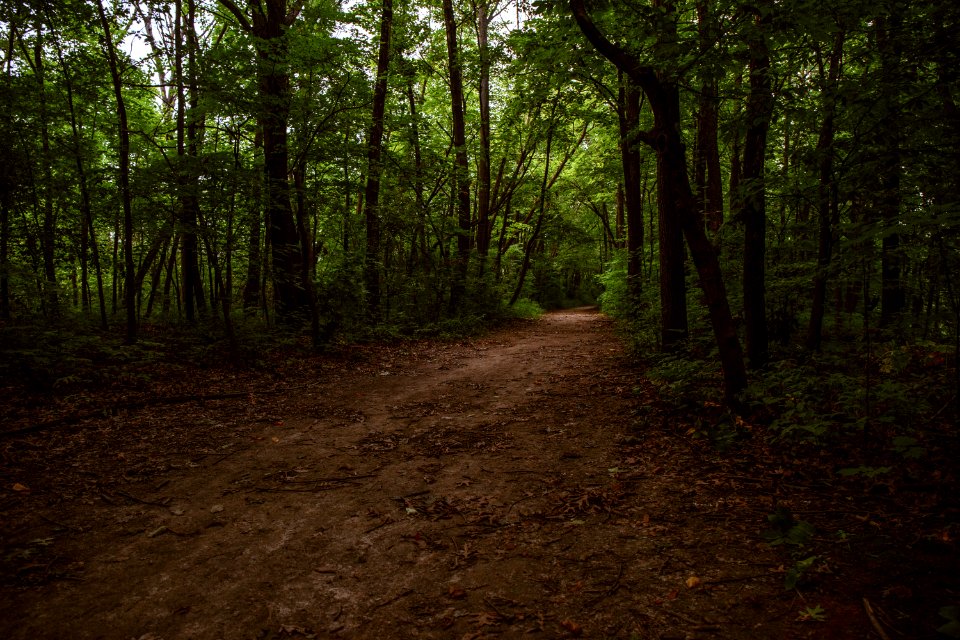 Hammel woods  dupage river access, Shorewood, United states