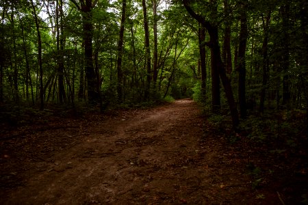 Hammel woods  dupage river access, Shorewood, United states