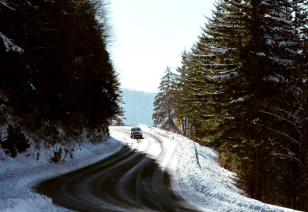 car on snowy road surrounded by tall trees photo
