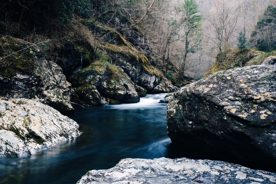 Great smoky mountains, United states, Spring