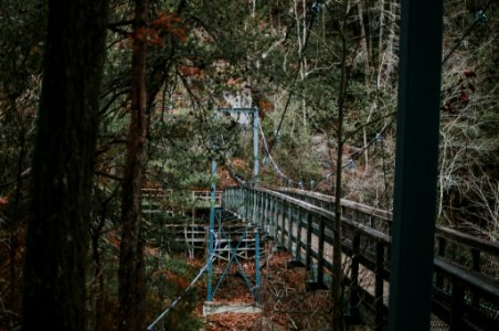 Tallulah gorge state park, Tallulah falls, United states