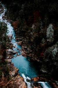 aerial photography of body of water with trees around