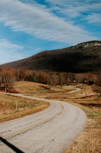 Yonah mountain, United states, Trees